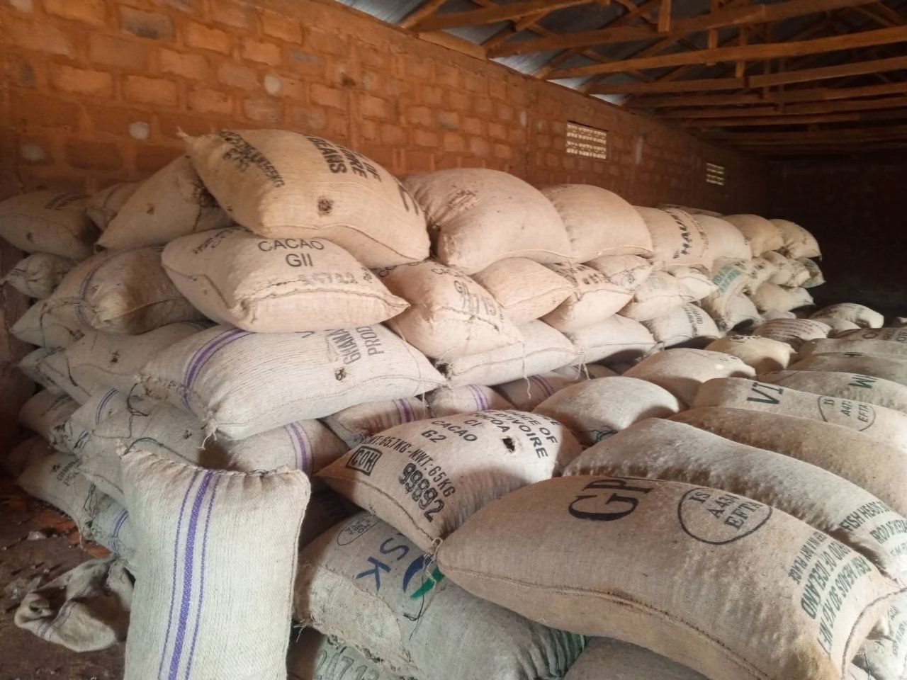 Raw cashew nuts stored in sacks