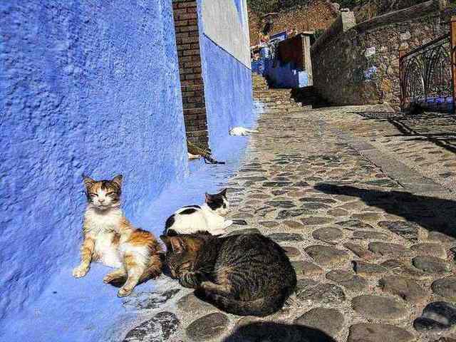 Chefchaouen street scene