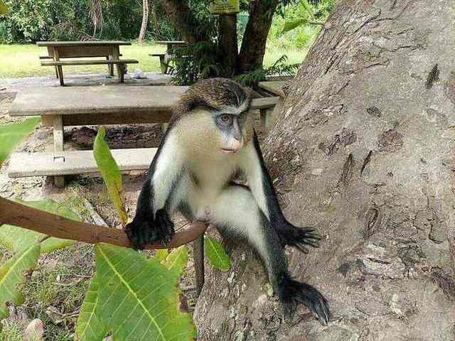 Nature at Lekki Conservation Centre in Lagos