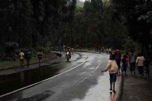 Nyungwe National Park