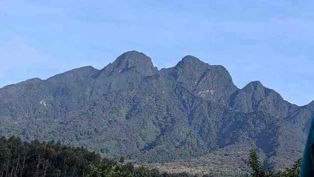 Volcanoes National Park, Rwanda